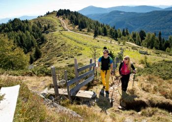 Sommer_08_Wandern_im_Bauernherbst_-_Foto_G.A._Service_GmbH.jpg